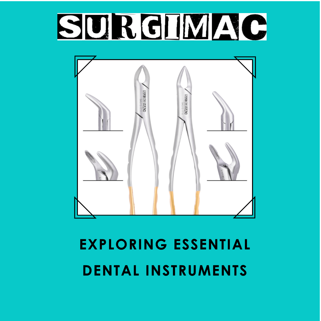 Exploring Essential Dental Instruments for Tooth Extraction by SurgiMac | SurgiMac