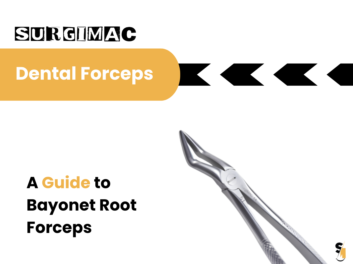 Bayonet Root Forceps: Design, Uses, and Selection