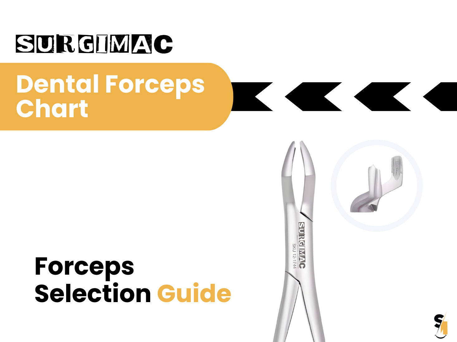 Dental Forceps Chart Explained: Numbers & Functions