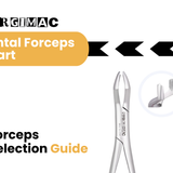 Dental Forceps Chart Explained: Numbers & Functions