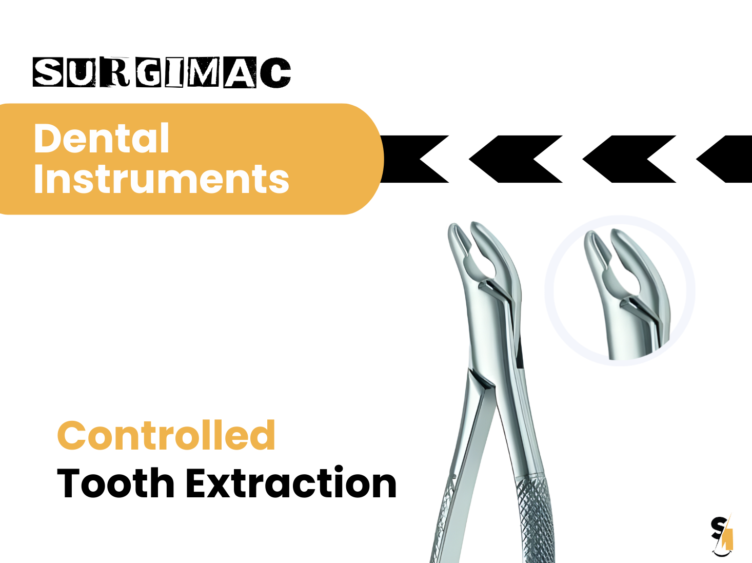Upper Root Tip Forceps: Selection Guide for Dentists