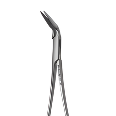 Collection image for: Endodontic Forceps
