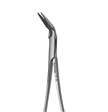 Endodontic Forceps