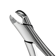 Extracting Forceps SurgiMac