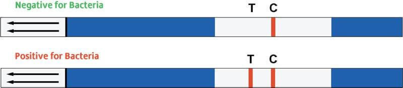 Sterisil FastCheck 15 In-Office Water Test Strip - Pack of 6 | SurgiMac Dental Supply