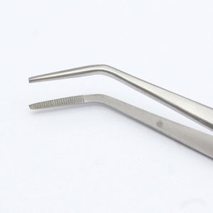 SurgiMac College Cotton Pliers, Stainless Steel, Eco Series, 1/Pk | SurgiMac Dental Supply