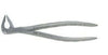 Miltex Xcision, #36M Extracting Forceps, Lower Anteriors, Modified Beak