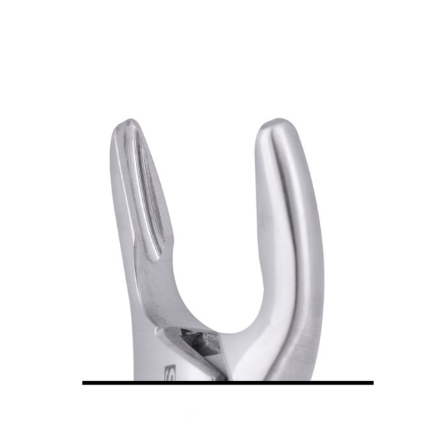 #150A Extracting Forceps