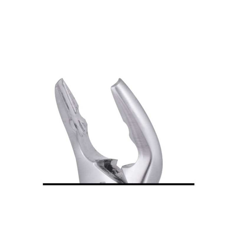 SurgiMac 151AS Extracting Forceps, Stainless Steel, Air Series, 1/Pk