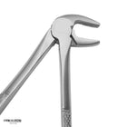 SurgiMac #13 Lower Cuspid Extraction Forceps, Comfortable, Secure Grip with Matte Finish, Stainless Steel, Pro Series, 1/Pk