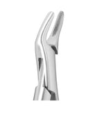 SurgiMac 150K Small Pedo Kinder Forceps, Surgical Instruments, Stainless Steel, Pro Series, 1/Pk | SurgiMac Dental Supply