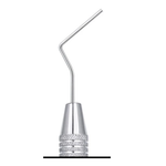12-9111_Root Canal