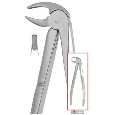 Generic Brand #13 English pattern extracting forceps