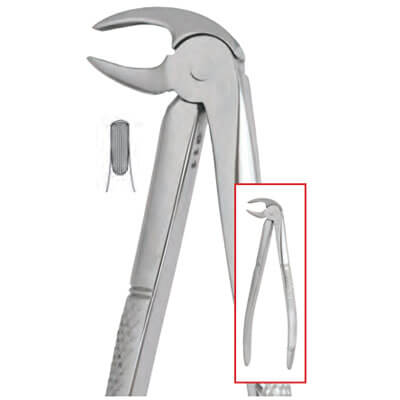 House Brand #13 English Pattern Extracting Forceps | SurgiMac Dental Supply
