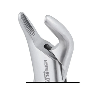 151S Extracting Forceps