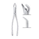 151S Extracting Forceps