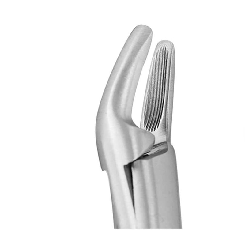 SurgiMac #150S & 151S Pedo Forceps for Child Extraction, Stainless Steel, Pro Series, 2/Pk | SurgiMac Dental Supply