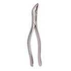 SurgiMac | 151 Extracting Forceps, Stainless Steel, Pro Series, 1/Pk | 12-1715-P