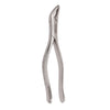 SurgiMac #151 Extracting Forceps, Stainless Steel, Pro Series, 1/Pk