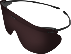 Safety Glasses, Office Pack (10 Black Frames, 20 Grey Lenses & 1 Neck Cord) 3905C