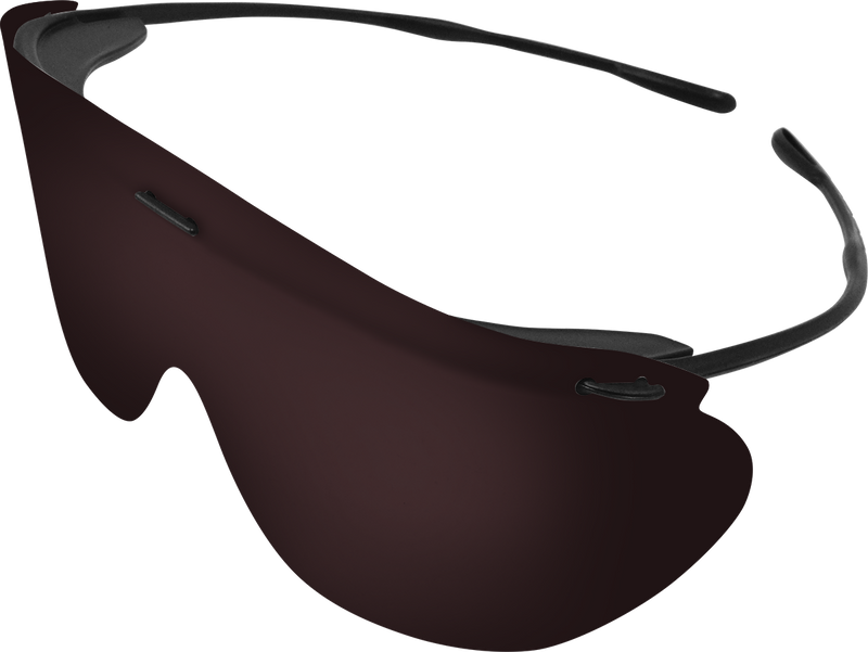 Safety Glasses, Office Pack (10 Black Frames, 20 Grey Lenses & 1 Neck Cord) 3905C