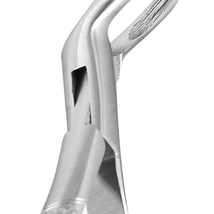 #39 & #40 Pedo Lower Molar Extraction Forceps Set, Stainless Steel, 2/pk