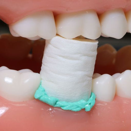 Compression Caps (Non-Anatomic Assortment) | S196A | | Compression Caps, Dental, Dental Supplies | Parkell | SurgiMac