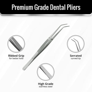 SurgiMac #317 College Cotton and Dressing Pliers, 6" Regular Serrated, Stainless Steel, Eco Series, 1/Pk | SurgiMac Dental Supply