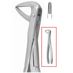 House Brand #74 English Pattern Surgical Extracting Forceps | SurgiMac Dental Supply