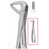 House Brand #74 English Pattern Surgical Extracting Forceps