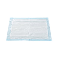 Disposable Underpad McKesson Classic 17 X 24 Inch Fluff / Polymer Light Absorbency UPLT1724