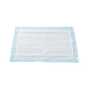 Disposable Underpad McKesson Classic 17 X 24 Inch Fluff / Polymer Light Absorbency UPLT1724