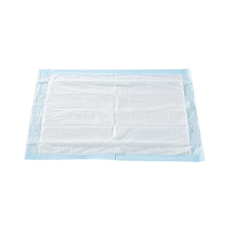 Disposable Underpad McKesson Classic 17 X 24 Inch Fluff / Polymer Light Absorbency UPLT1724