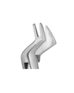 SurgiMac #88R & #88L Universal Extracting Forceps for Upper Right 1st and 2nd Molars, Stainless Steel, Pro Series, 2/Pk | SurgiMac Dental Supply