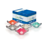 Nasal Mask, Adult, Single-Use, Disposable, 12/pk 33035-12