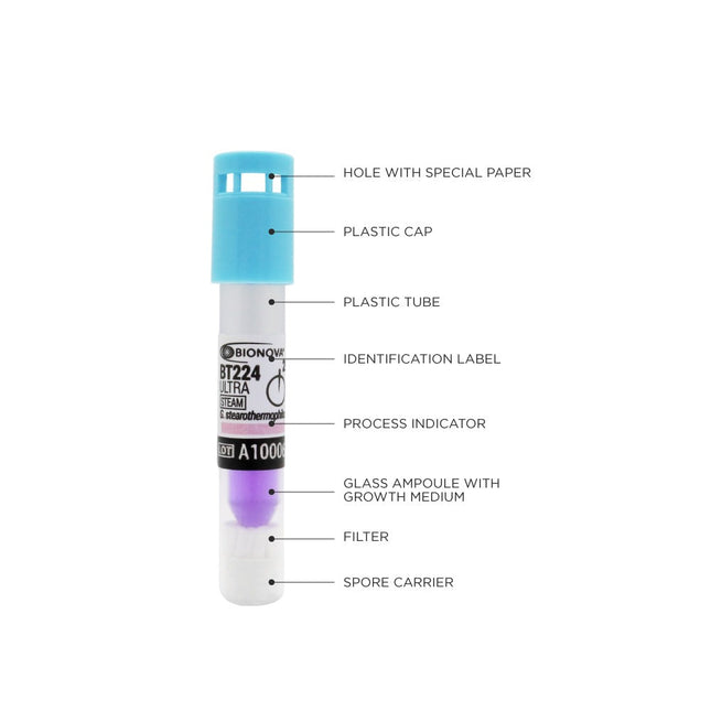 Terragene | Fluorescence SCBI For Steam. 60°C (20 minutes), Ultra Rapid, 50/bx | BT224