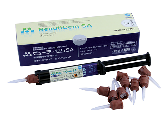 BeautiCem SA Auto-Mix, Clear, One 5ml Paste, 10 Mixer Tips and Step Card 3213-1