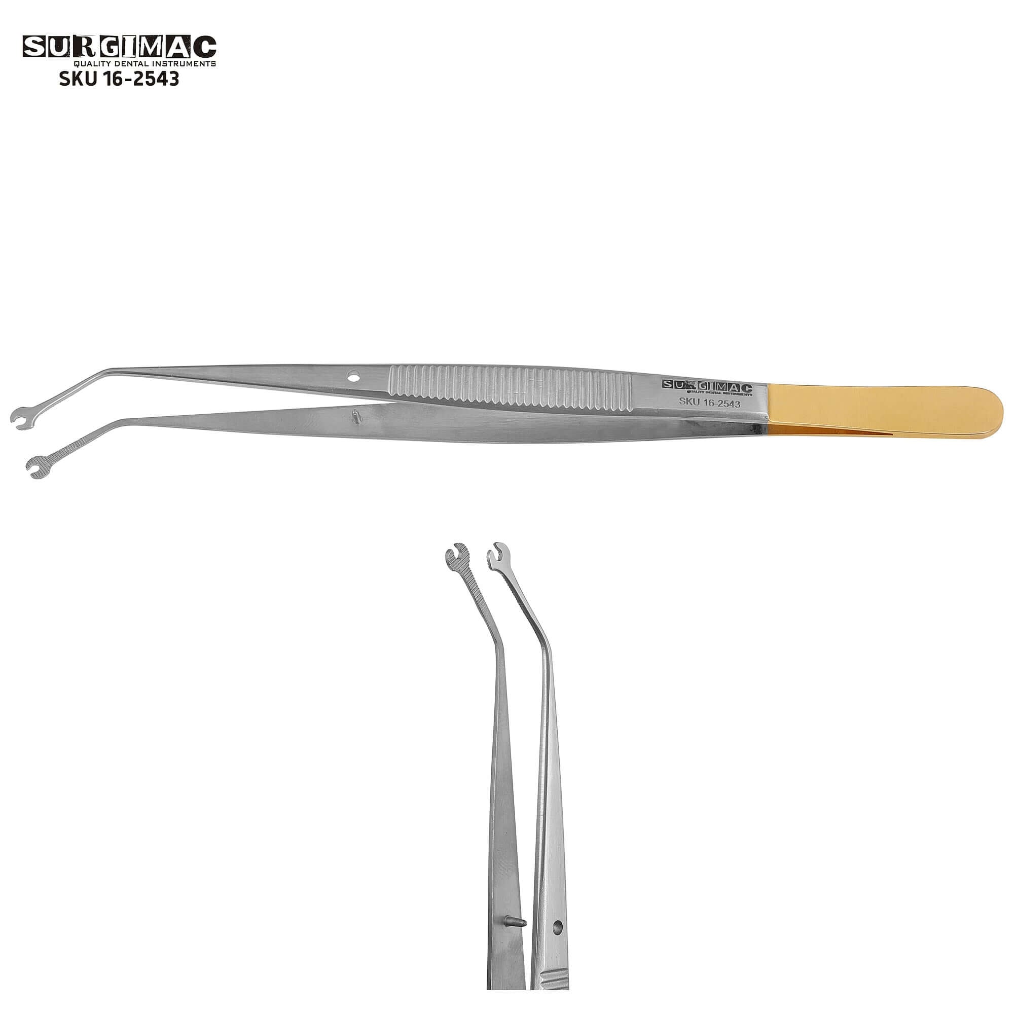 Premium 12" Foerster Sponge Forceps - Serrated Jaws, Stainless Steel Surgical/Vet Tool