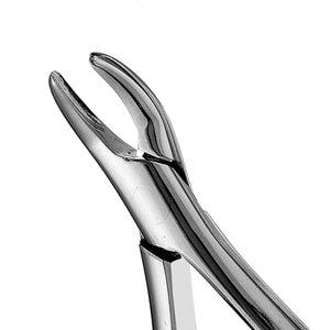Hu-Friedy 101 Hull Forceps | SurgiMac Dental Supply