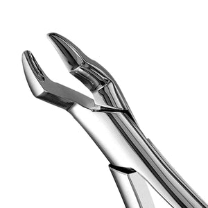 Hu-Friedy 10S Forceps | SurgiMac Dental Supply