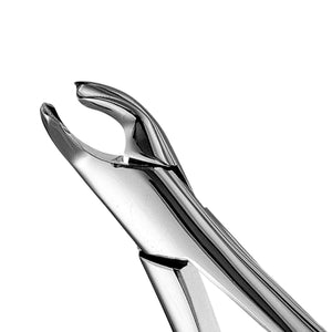 Hu-Friedy 151A Cryer Forceps | SurgiMac Dental Supply
