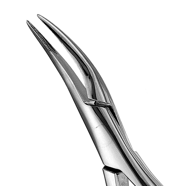 Hu-Friedy 300 Root Forceps, Serrated | SurgiMac Dental Supply