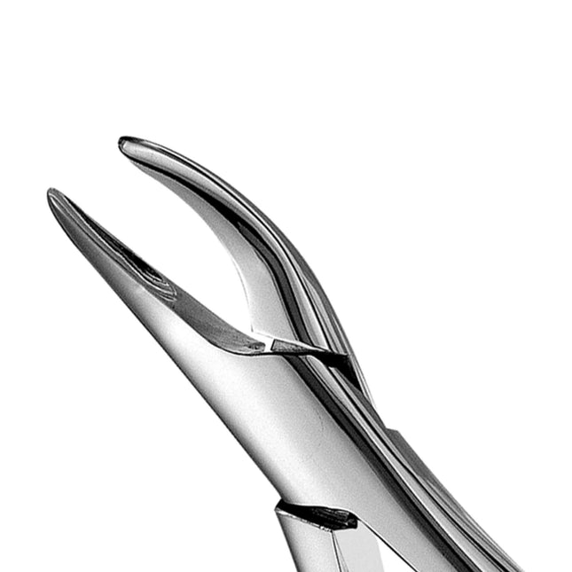 Hu-Friedy 69 Tomes Forceps | SurgiMac Dental Supply