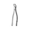 Hu-Friedy 151 Apical Forceps