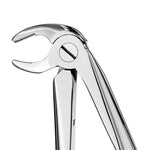 Hu-Friedy 13 European Style Forceps, Serrated | SurgiMac Dental Supply