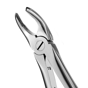 Hu-Friedy 17 European Style Forceps | SurgiMac Dental Supply