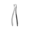 Hu-Friedy 18 European Style Forceps