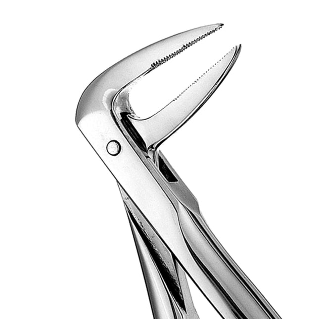 Hu-Friedy 233 European Style Root Forceps, Serrated | SurgiMac Dental Supply