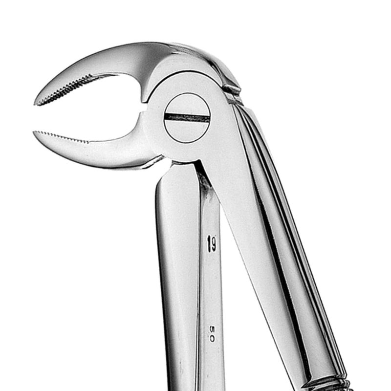 Hu-Friedy 33 European Style Root Forceps, Serrated | SurgiMac Dental Supply