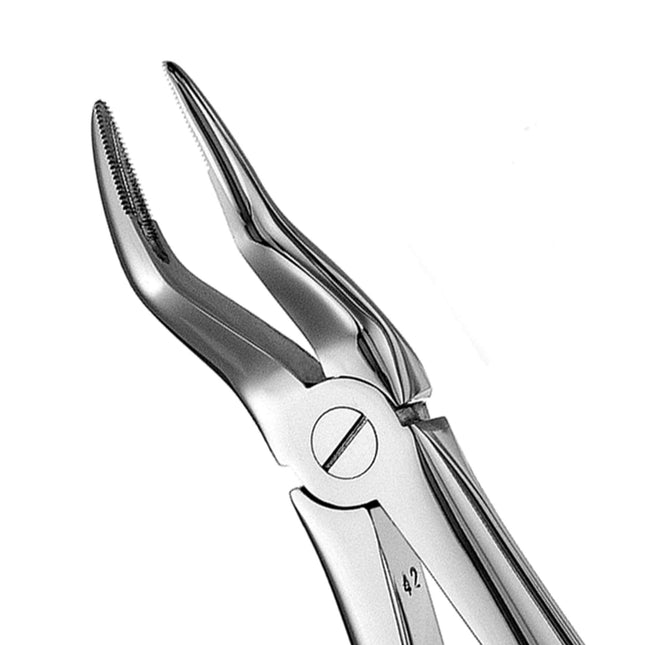 Hu-Friedy 51 European Style Root Forceps, Serrated | SurgiMac Dental Supply